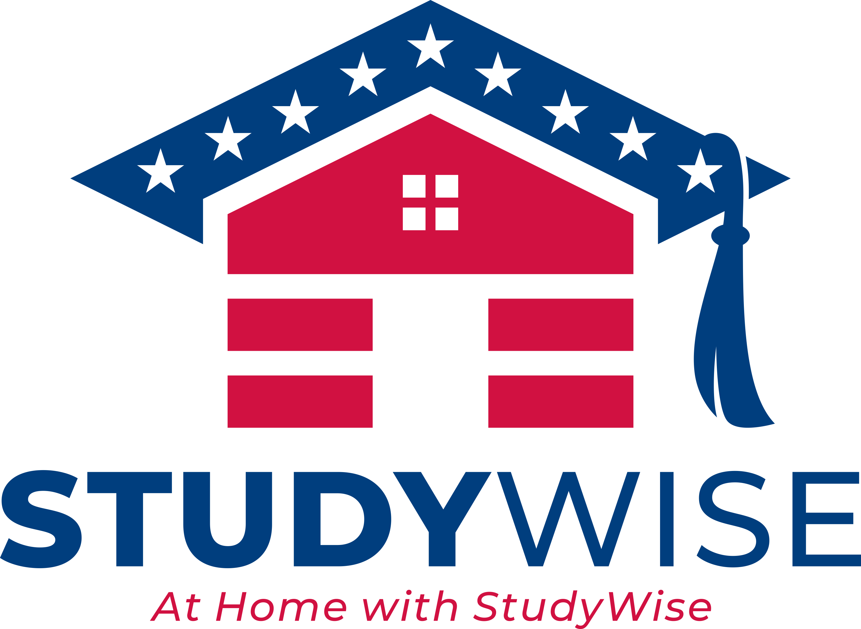 StudyWise Education Services